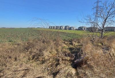 Teren Construcții intravilan de 9653 mp, în Eforie Nord - 7