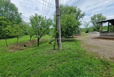 Resita Chirie Teren 3924 mp. si Constructie, Valea Terovei - 12