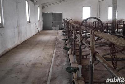 Spațiu comercial, de 470 mp, în Cristur-Crișeni - 4