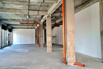 Spațiu comercial, de 257 mp, în Torontalului - 6