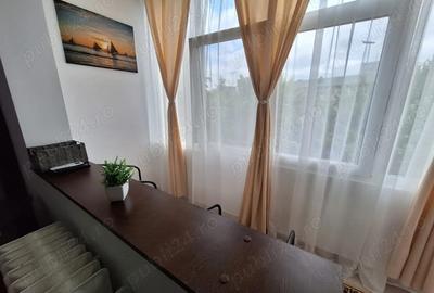 Persoana fizica, inchiriez apartament 2 camere, Podu Ros, Palas - 3