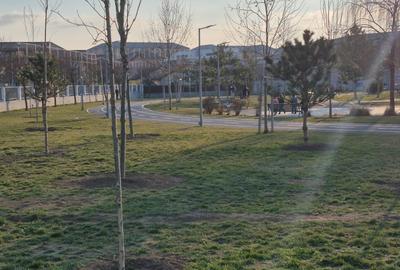 Casă de închiriat în Chiajna, lângă Petru Rareș - 2