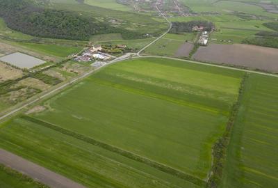 Teren extravilan de 22500mp Zona Ineu - 4