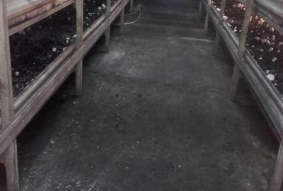 Spațiu comercial, de 500 mp, în Stoina - 5