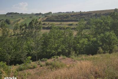 Teren de 827 mp, în Ciugud - 3