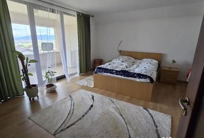 Casă cu 7 camere în Șura Mare - 17