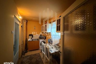 Casă cu 3 camere cu Teren 1171 Mp în Vișeu de Jos - 12