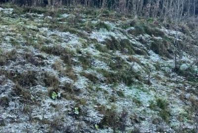 Teren de 19984 mp, în Mănăstirea Humorului - 3