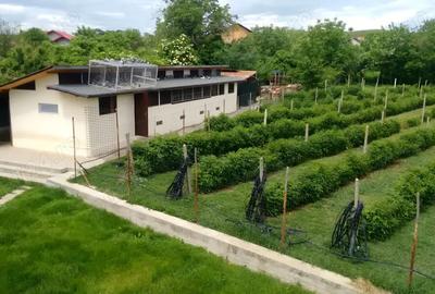 Casa cu teren in ora? de vanzare - 9