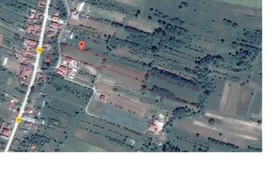 Teren de 12000 mp, în Pociovaliștea - 5