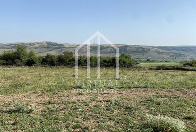 Teren Construcții intravilan de 489 mp, în Daia - 2