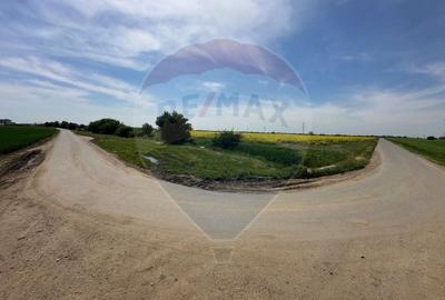 Teren Construcții intravilan de 545000 mp, în Dragomirești-Vale - 14