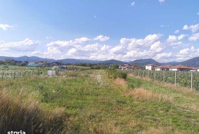 Teren de 2600 mp, în Recea - 2