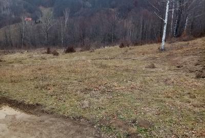 Teren de 10000 mp, în Lepșa - 3