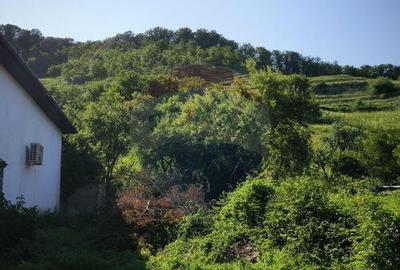 Casa saseasca tradi?ionala in inima Biertanului ... - 9