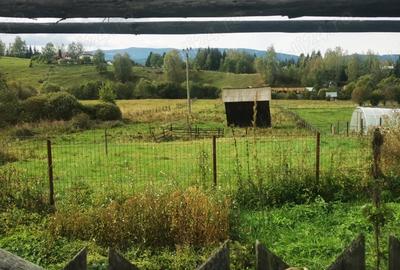 Casa in Bucovina - 2