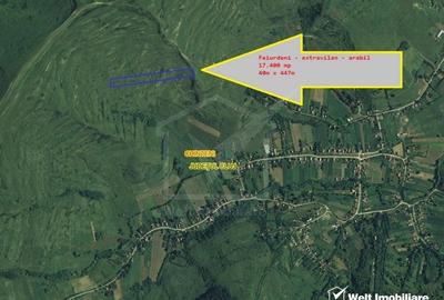 Teren extravilan in Feiurdeni, 17400 mp, expunere sudica - 3