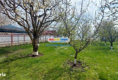 Casă cu 3 camere cu Teren 800 Mp în Mihai Eminescu - 10