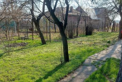 Teren intravilan Buftea Flamanzeni - 4