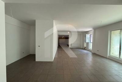 Spațiu comercial, de 220 mp, în Nerva Traian - 3