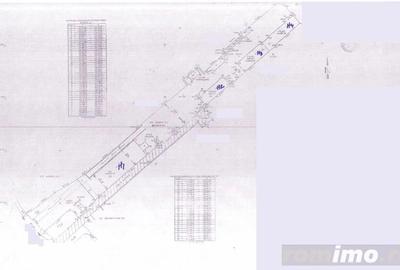 Teren de 8400 mp, în Ferdinand - 1