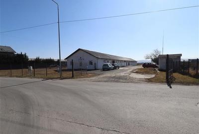 Teren intravilan 9359 mp  |  hala 786 mp | Apahida | zona Libertatii - 2