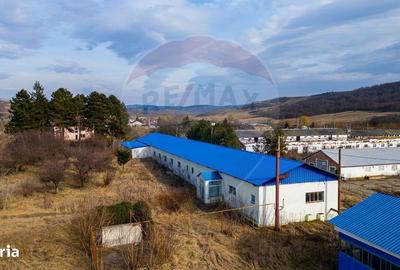 Spațiu comercial, de 800 mp, în Traian - 9