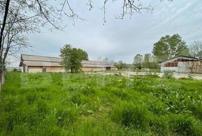 Oportunitate! Teren intravilan 3 hectare, Bals - 4