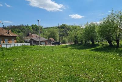 Spațiu comercial, în Ștubeie Tisa - 5