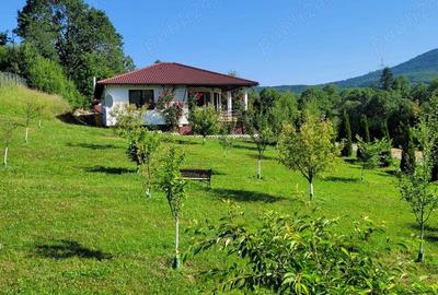 Casa si teren intravilan 2,7 hectare in Sovata - 4
