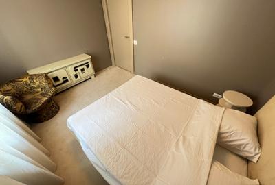 Vanzare Apartament 3 Camere Modern Iancu Nicolae - 28