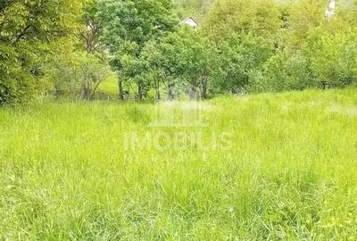 Teren de 994 mp, în Budiu Mic - 5