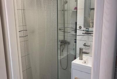 Garsonieră decomandată, mobilată în Banu Manta - 9