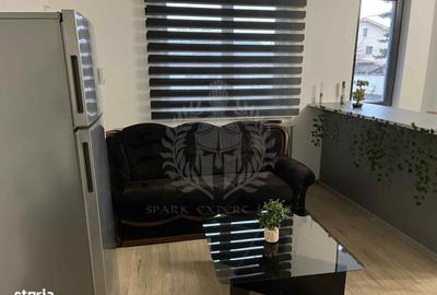 Apartament cu 3 camere decomandat, mobilat în Gheorghe Doja - 12
