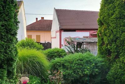 Casă cu 3 camere cu Teren 902 Mp în Bogdăneștilor - 4