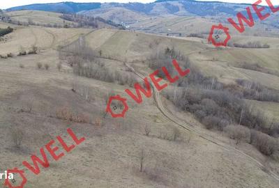 Spațiu comercial, în Sărămaș - 3