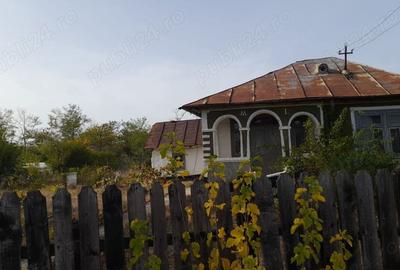 Casa batraneasca Bradeanu buzau - 8