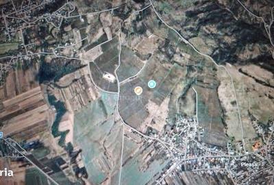 Teren de 153900 mp, în Boldești - 1