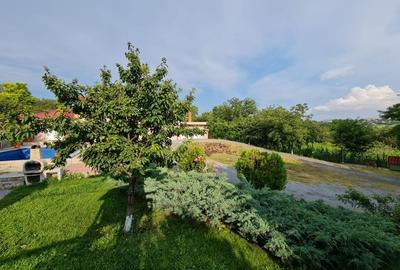 Vila pretabila amenajare pensiune in Delta Dunarii - Somova - 10