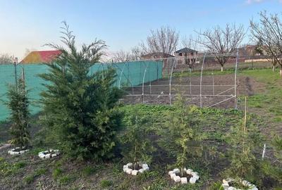 Casă cu 5 camere cu Teren 1196 Mp în Dorobanț - 5