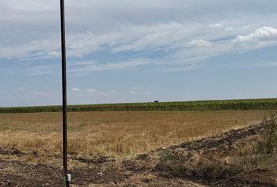 Teren 592 mp intravilan - 4