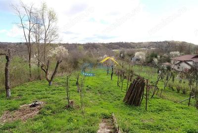 Apartament cu 3 camere în Podul Vadului - 1