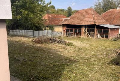 Casă cu 2 camere cu Teren 2200 Mp în Domnin - 3