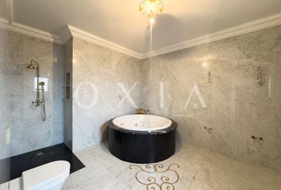 Penthouse cu 5 camere decomandat în Mehala - 10