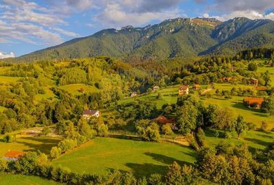 Teren de 3000 mp, în Bran - 4