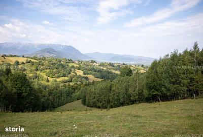 Spațiu comercial, în Sohodol - 1