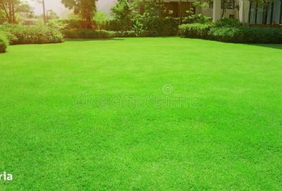 Casă cu 4 camere în Nord - 2