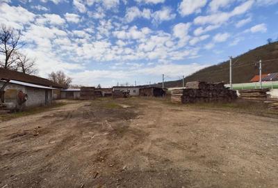 Fabrica prelucrare lemn de vanzare – Lipova, Arad - 6