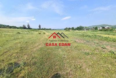 Teren intravilan in Campina, 7500mp--35e - 8