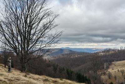 19,5 Ha  TEREN PEISAJ PANORAMIC SPECTACULOS zona turistica montana BULZ -  BIHOR - 8